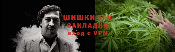 мескалин Ельня