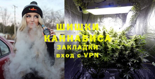 мескалин Ельня