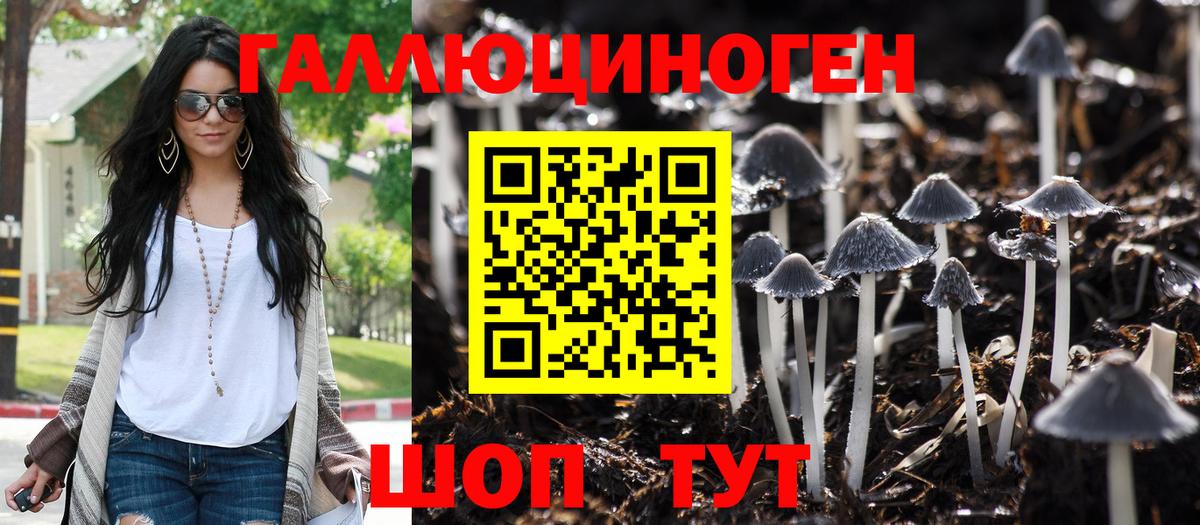Псилоцибиновые грибы Cubensis Волхов