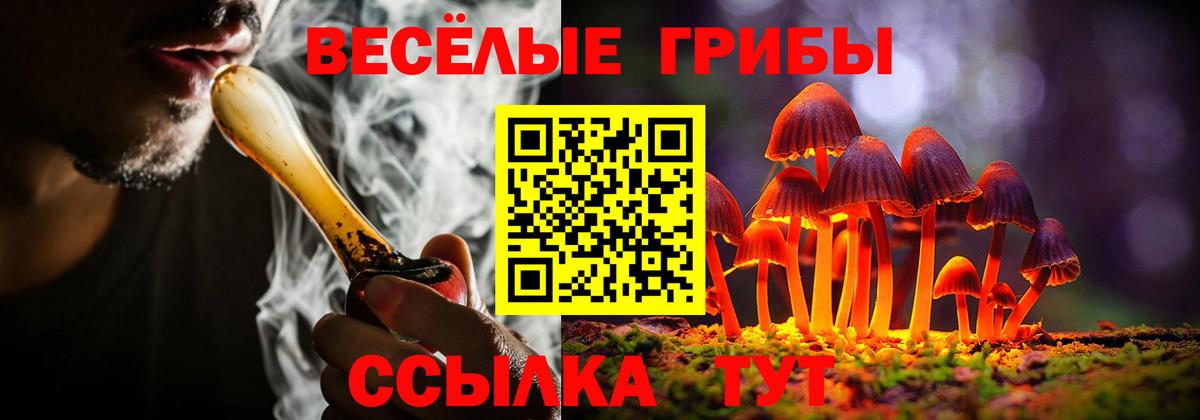 Псилоцибиновые грибы ЛСД  Вход с VPN  Волхов  Псилоцибиновые грибы MAGIC MUSHROOMS 